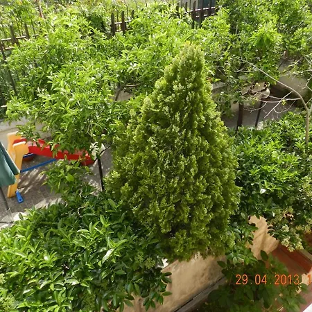 Apartamento Anna Reggio Calabria